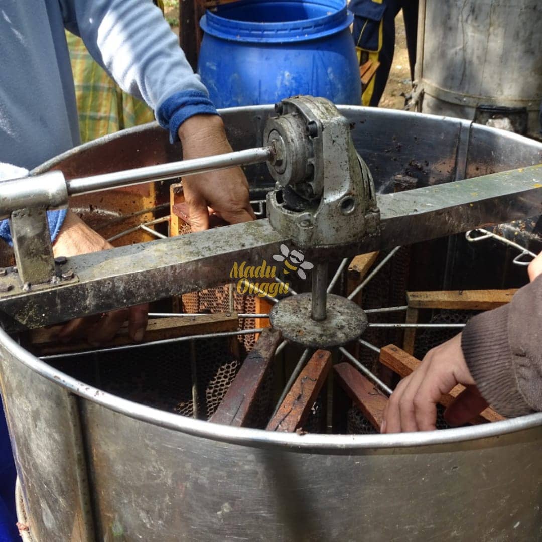 Madu Asli Madu Onggu Madu Asli Madu Hutan Madu Murni Madu Onggu